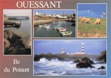 29 L ILE D OUESSANT LE PORT DU STIFF LE PORT DE LAMPAUL LES MOUTONS ET