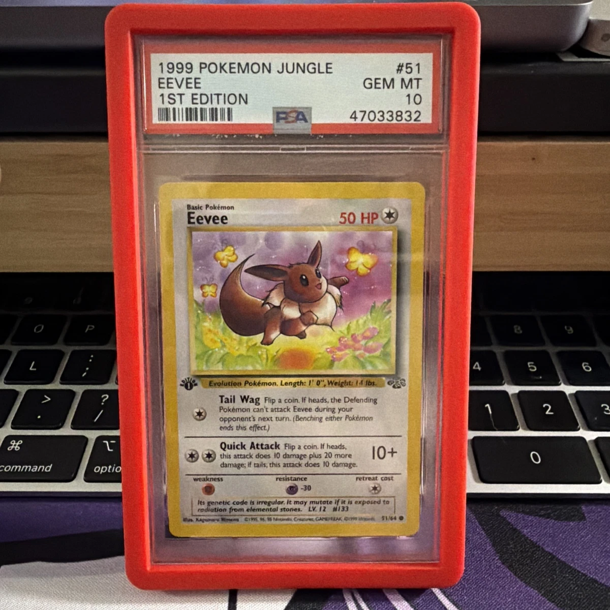 Preços baixos em Eevee Pokémon TCG Autenticador Esportivo
