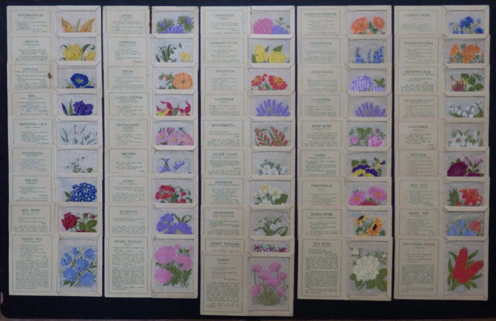 KENSITAS SILK FLOWERS 1st Series Medium 46 x Silks ALL 'MORE' OUTSIDE