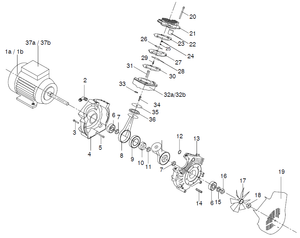 Bambi Motor / Pump Parts: VT75 / VT75D / VT150 / VT150D / VT300/VT300D Zapewnienie jakości, świetna wartość