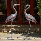 Art Deco Outdoor Crane Sculptures - Lifelike Heron Yard Decorations, Set of 2