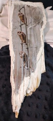 Vintage Wright Wood Designs Painted Barn Owls Reclaimed Wood Folk Art Sign