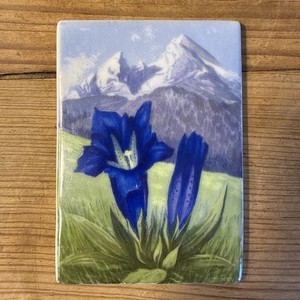 Vintage Hans Frey Mountains Gentian Violets German Painted Porcelain Plaque