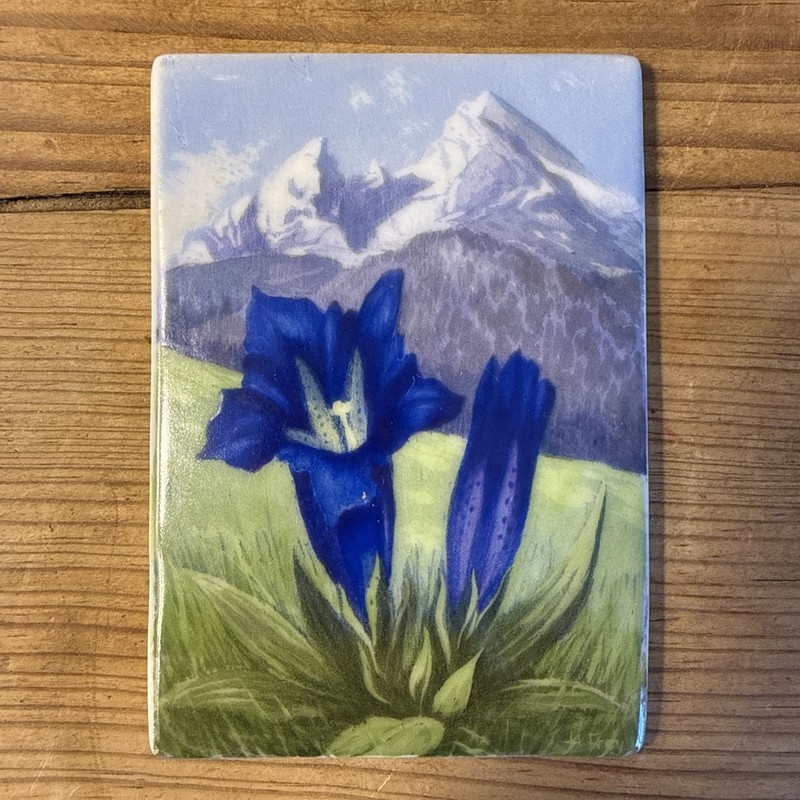 Vintage Hans Frey Mountains Gentian Violets German Painted Porcelain Plaque