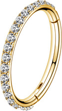 Gold Hinged Segment Earring Hoop 16G Stainless Steel with Cartilage Earrings Cle