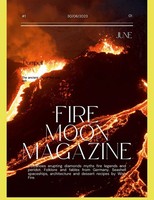 Fire Moon Magazine Deanna Stinson Taschenbuch Englisch 2023 [.]