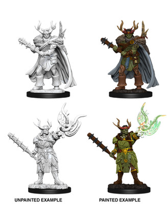 Orcs Deep Cuts Male Half-Orc Druid