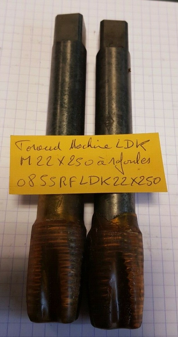 Taraud machine M22X250 LDK en acier HSS-M2 pour taraudage à refouler