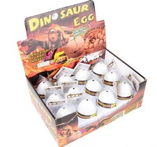 5 HATCHING PET DINOSAUR EGG GROWING HATCH LARGE 3" JURASSIC WORLD FREE SHIPPING