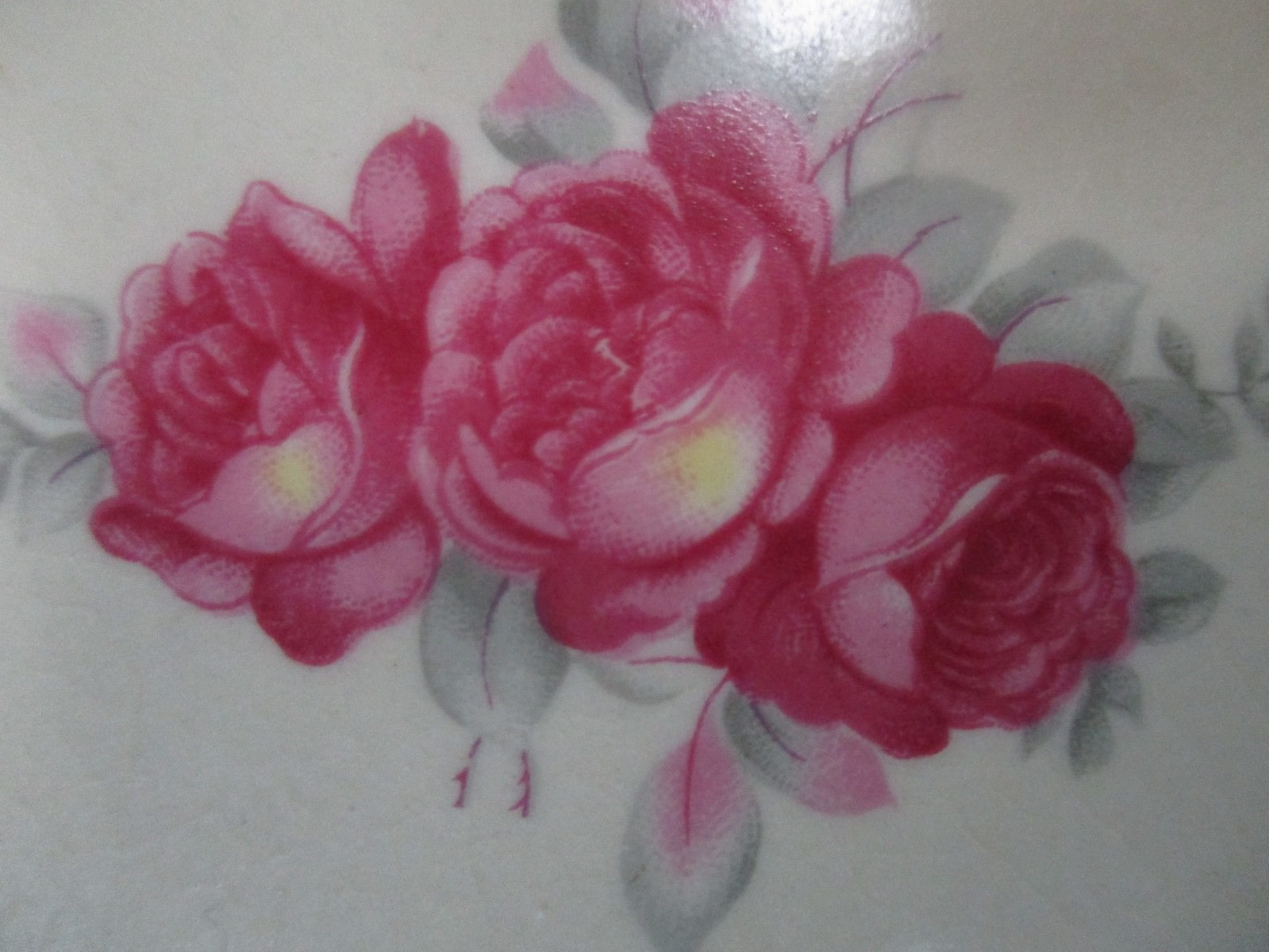 Picture 7 of 12