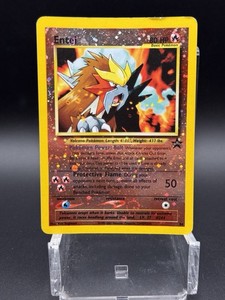 Entei 34