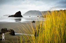 Myers Beach - Southern Oregon Coast - Fine Art Photography Prints by Bear8Photo