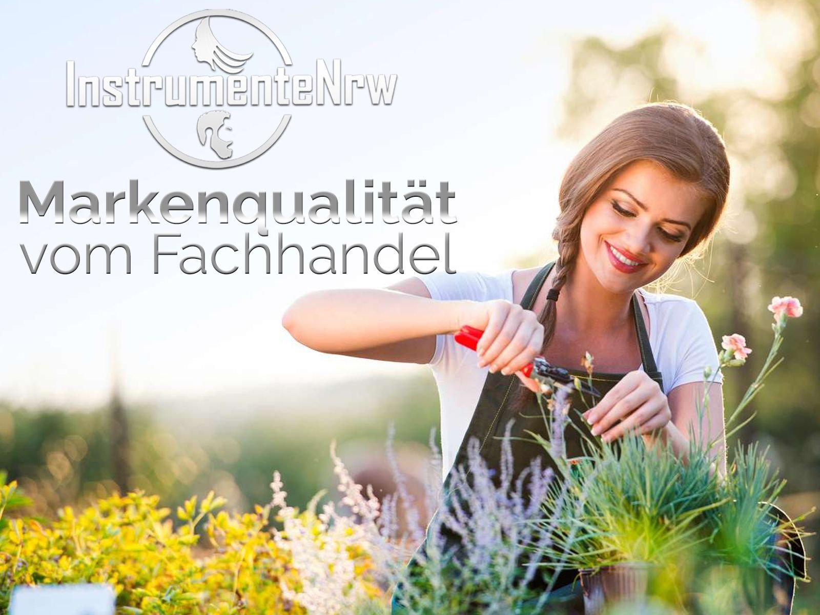 Bild 7 von 7