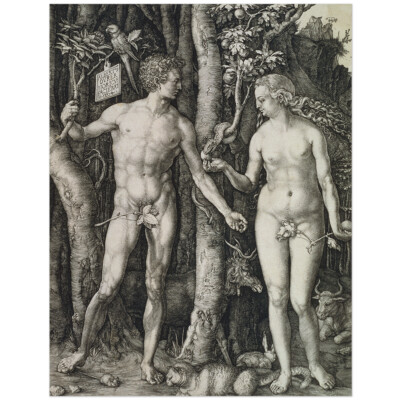 Albrecht Dürer, Adam und Eva 11003000878