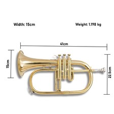 BB FlugelHorn 3 valve Brass With Hard Case and Mouthpiece 4 days delivery FREE
