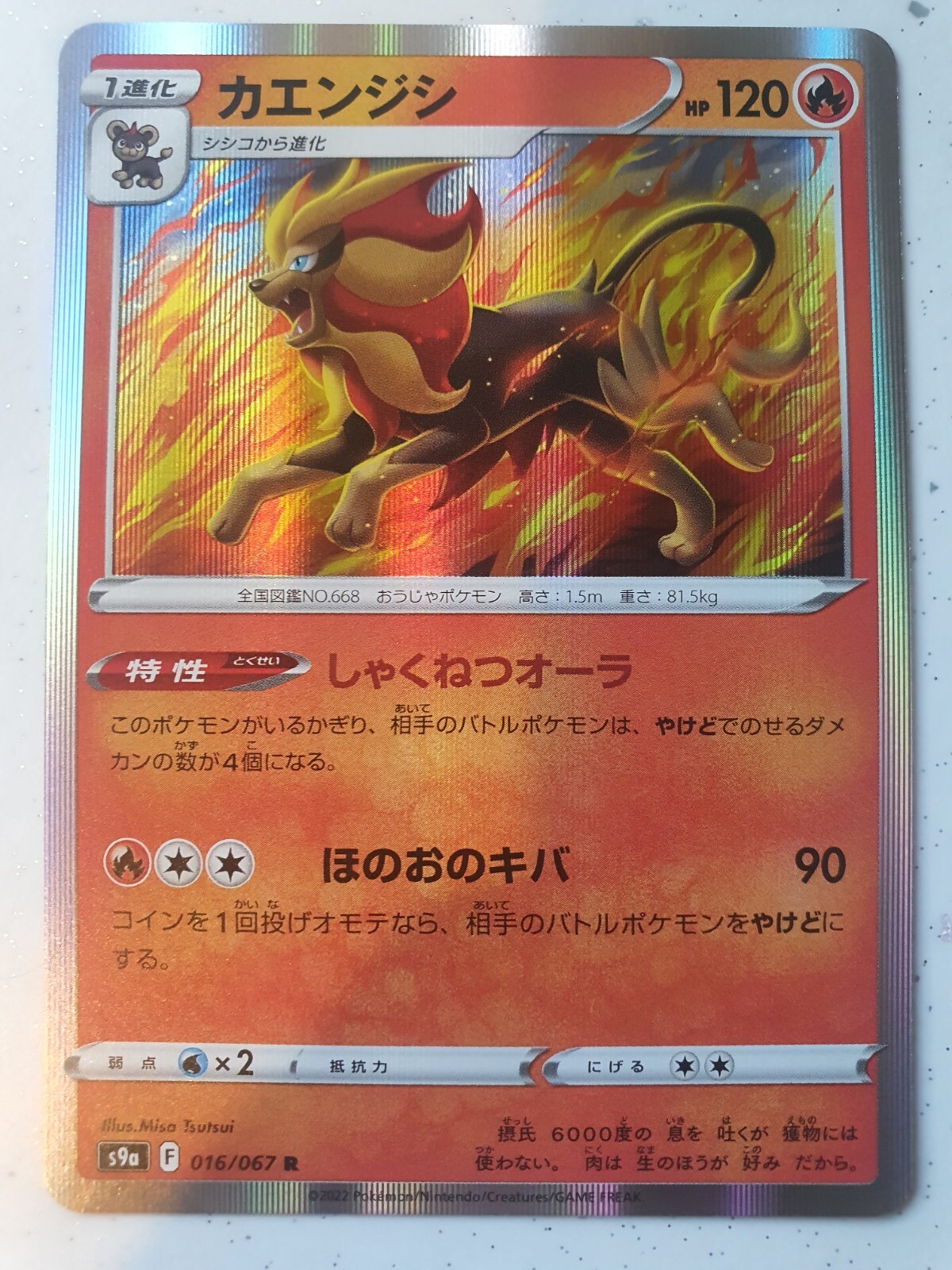 Pyroar Holo - 016/067 S9a Battle Region MINT - Japanese Pokemon Card