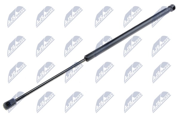 Nty AE-FR-006 Gasfeder, Kofferraum-/Laderaum FüR Ford-image