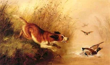 Oil painting Arthur-Fitzwilliam-Tait-Spaniel-Chasing-Ducks dog bird landscape