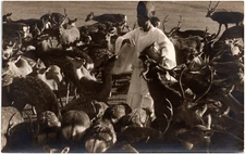 Man Feeding Deer at Kasuga Shrine Area Nara Japan 1920s RPPC Postcard Photo