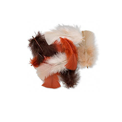 140 Brown, Tan, Rust Natural Color Mix Real Turkey Feathers 2 - 5 inches Long