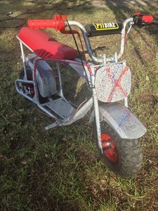 Custom Painted Minibike Frame Completely Engine Ready