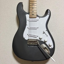 PRS SE Silver Sky Maple Overland Grey Safe packing!