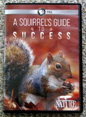 NATURE: A SQUIRREL'S GUIDE TO SUCCESS PBS Animal Documentary FREE SHIPPING