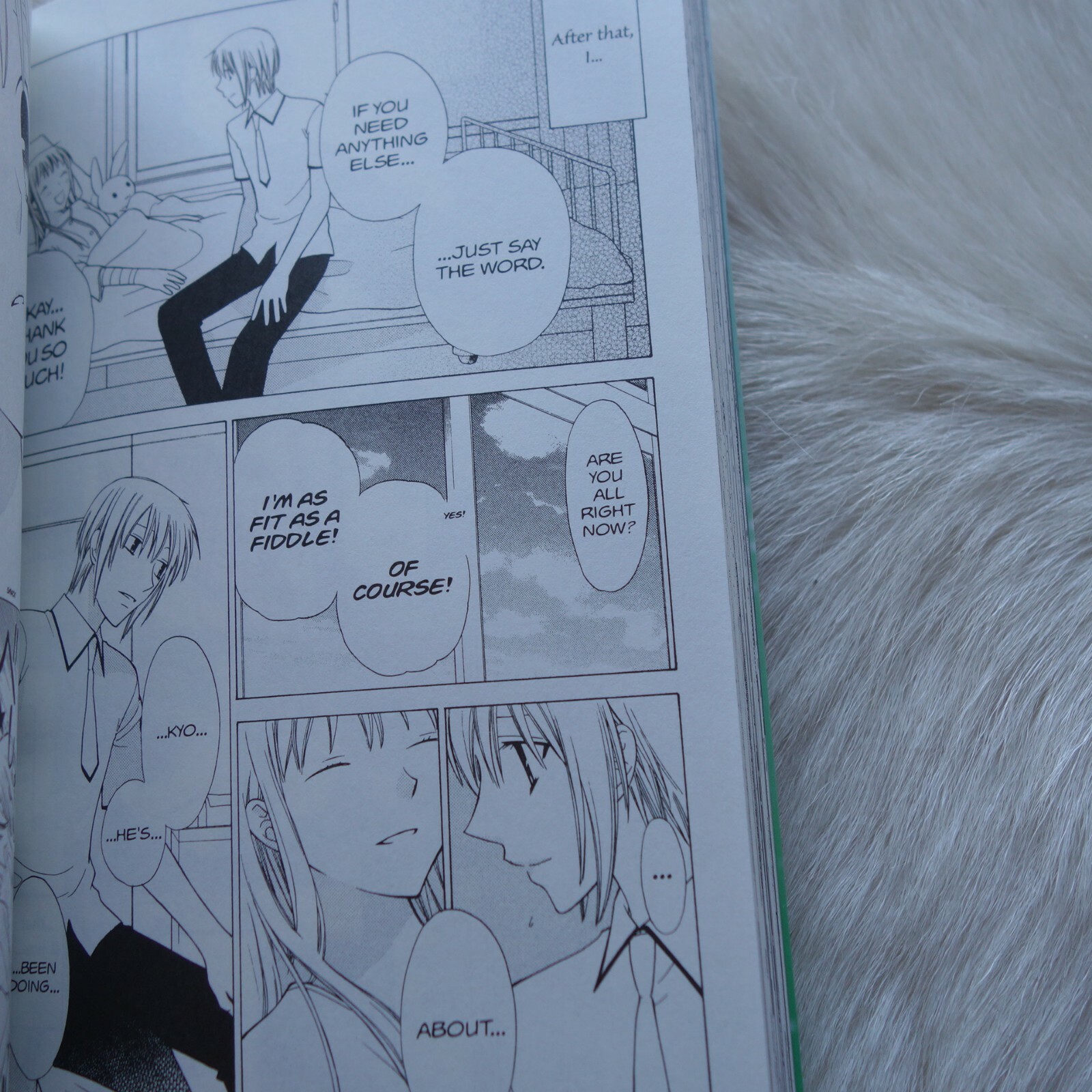 FRUITS BASKET Vol 22 Natsuki Takaya Manga FRUITS BASKET Manga eBay