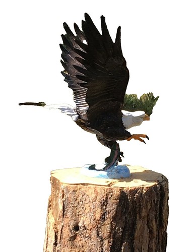 Steinadler-Statue Aus Steinguss – 55 Cm Hoch, 16 Kg, Frostsicher Für Den Garten