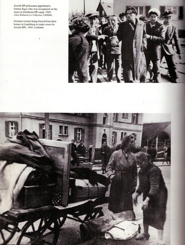 LIBERATION 1945 HOLOCAUST DEPORTIONS DISPLACED PERSON WAR CRIMES NUREMBURG TRIAL - Imagen 3 de 6