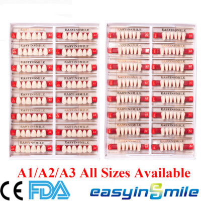 Dental Denture Acrylic Resin Teeth DIY Maxillary Anterior  A1/a2/a3 Upper Lower