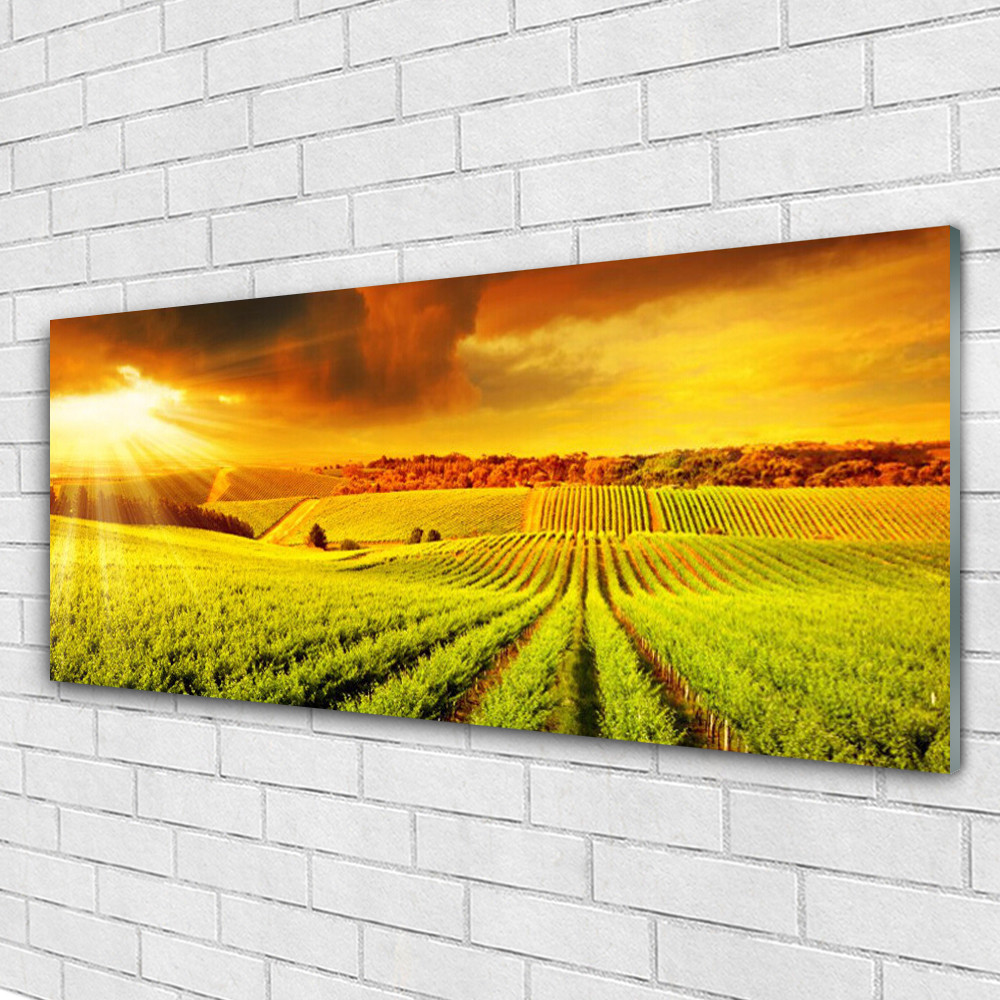 Tableau en verre 125x50 cm pour illuminer un salon sombre paysage de champ