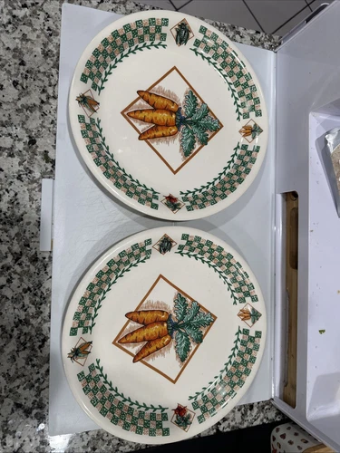 Tabletops Unlimited Fresh Garden 10.5” Dinner Plates (2) Carrots