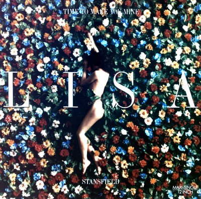 Lisa Stansfield - Time To Make You Mine Maxi (VG) .
