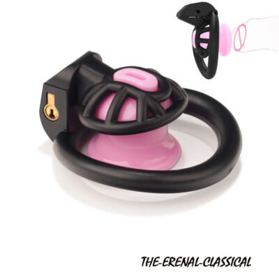 Newest 4 Rings Sissy Inverted Cage Positive Negative Chastity Cage Lock