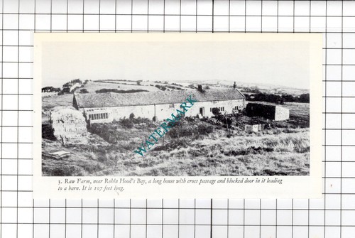 Raw Farm Robin's Hood Bay Yorkshire - kleiner Ausschnitt