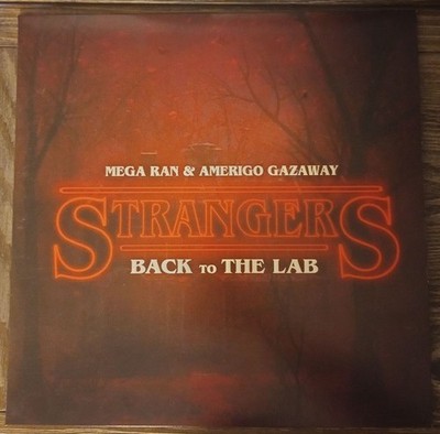 Mega Ran & Amerigo Gazaway - Strangers: Back To The Lab - Vinyl Record (LP) - M/