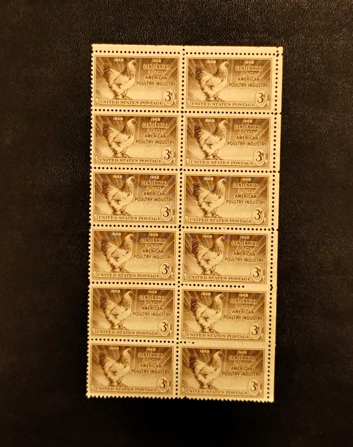 United States Poultry Industry 3¢ Brown Block of 10 MNH 1941-1950 Ungraded