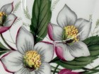 Vintage Jason Fine Bone China England Teacup & Saucer Set Hellebores Flowers — photo 7