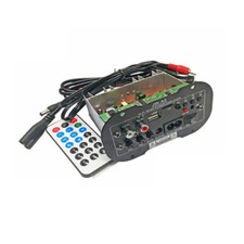 Car Subwoofer Amplifier Board 220V 12V 24V Audio Gun Core 6 inch 8 inch 10 inch