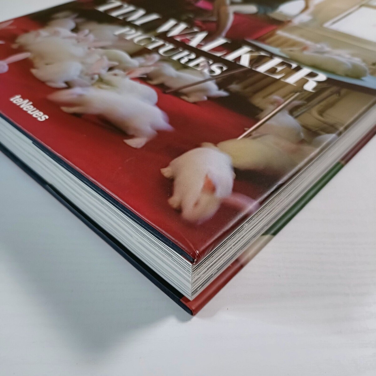 Pictures by Tim Walker Hardcover teNeues 2013 First Edition | eBay UK