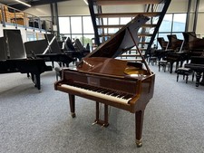 Sauter Flügel, Modell 182 , Nussbaum poliert, 3 J. Garantie