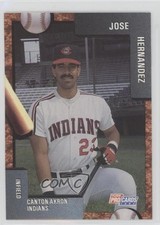 1992 Fleer ProCards Minor League Jose Hernandez #698 0w6