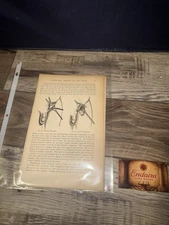 1915 Appleton Surgery Penis/Prepuce Circumcision Illustrated Medical Pages (8)