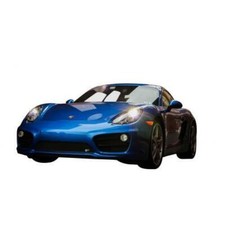 Calandre Porsche CAYMAN