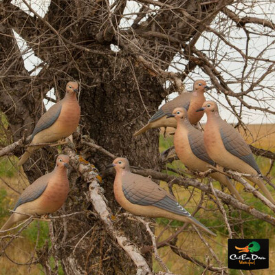 Buy Greenhead Gear Mourning Dove Decoys - Pack of 6 online