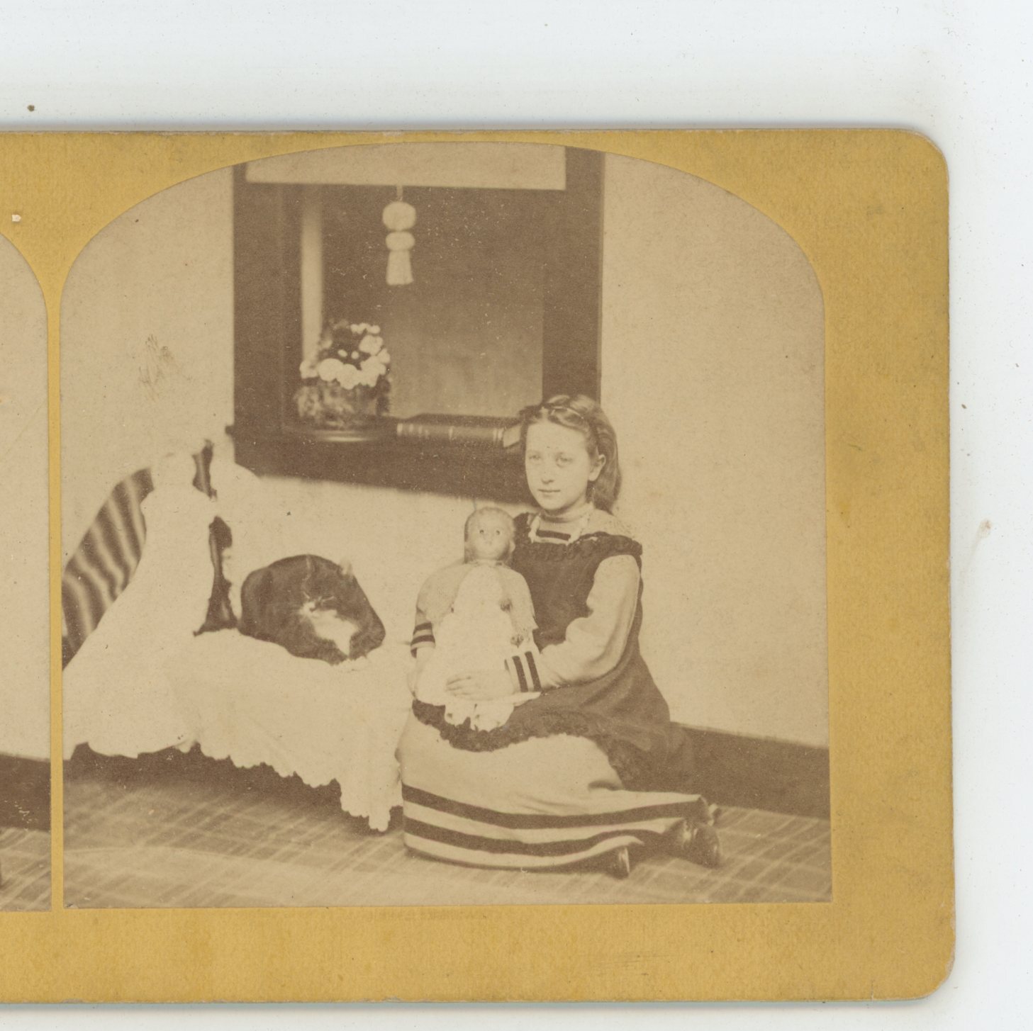 & Cat Genre Children Stereoview