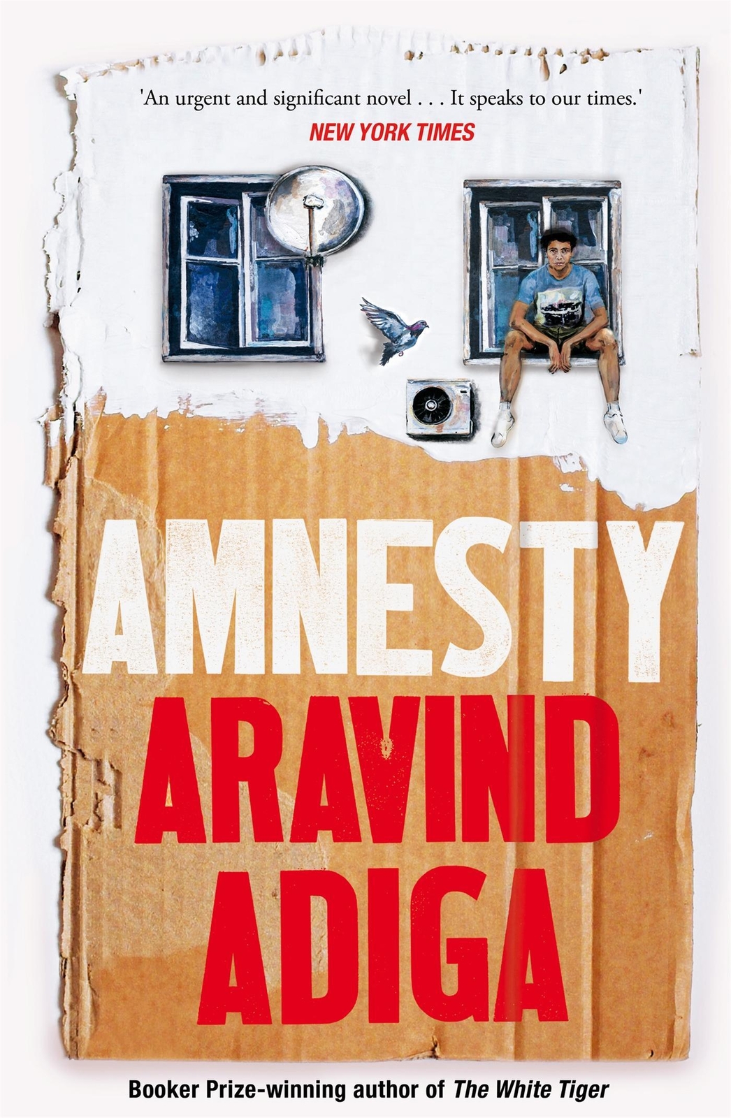 Thumbnail - Amnesty Aravind Adiga
