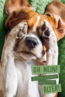 Geburtstag Karte Mit Umschlag Hund Wieder Ein Jahr äLter