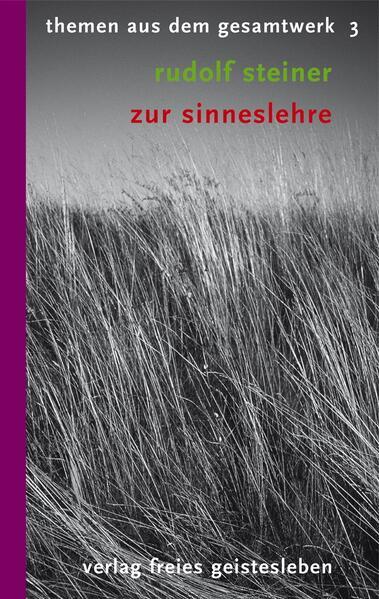 Thumbnail - Zur Sinneslehre | Rudolf Steiner | 2022 | Deutsch